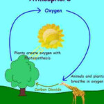 The Properties Source And Cycle Of Oxygen Gas Science Online