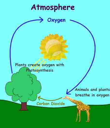 The Properties Source And Cycle Of Oxygen Gas Science Online