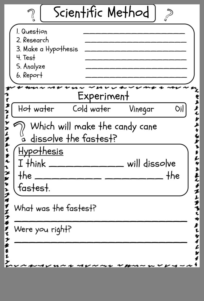 Third Grade Scientific Method Worksheet Pdf For 3rd Grade 