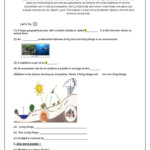 This Fun Worksheet About Ecosystem Has Been Prepared By Expert Online