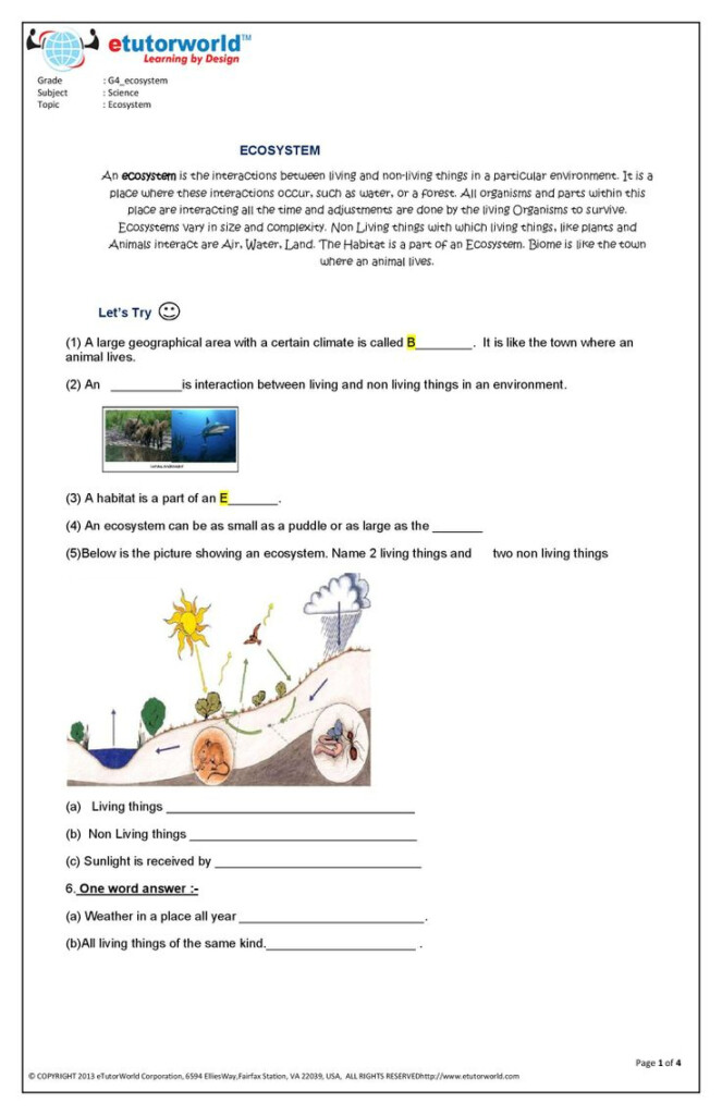 This Fun Worksheet About Ecosystem Has Been Prepared By Expert Online 