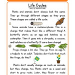This Reading Comprehension Worksheet Life Cycles Is For Teaching