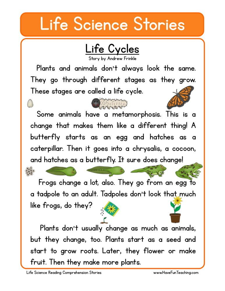 This Reading Comprehension Worksheet Life Cycles Is For Teaching