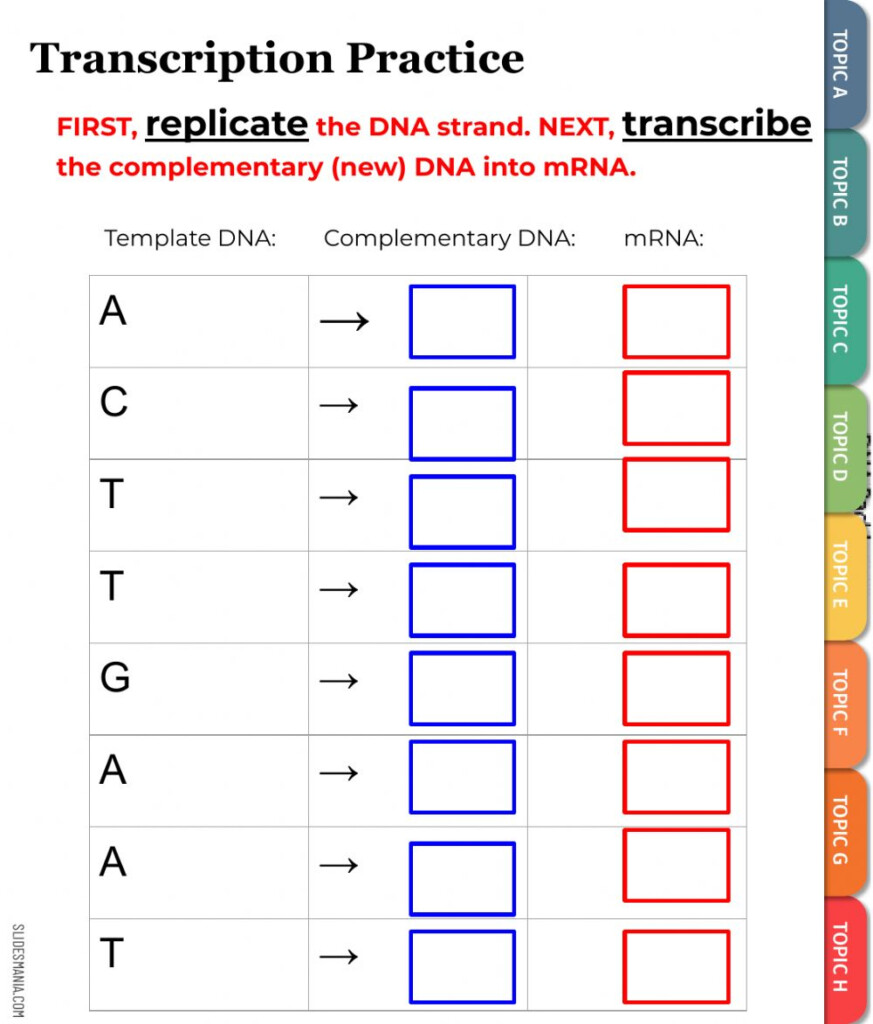 Transcription Practice Worksheet