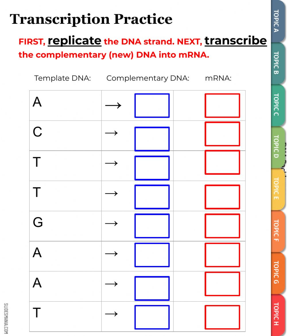 9th Grade Science Transcription And Translation Worksheet Answers