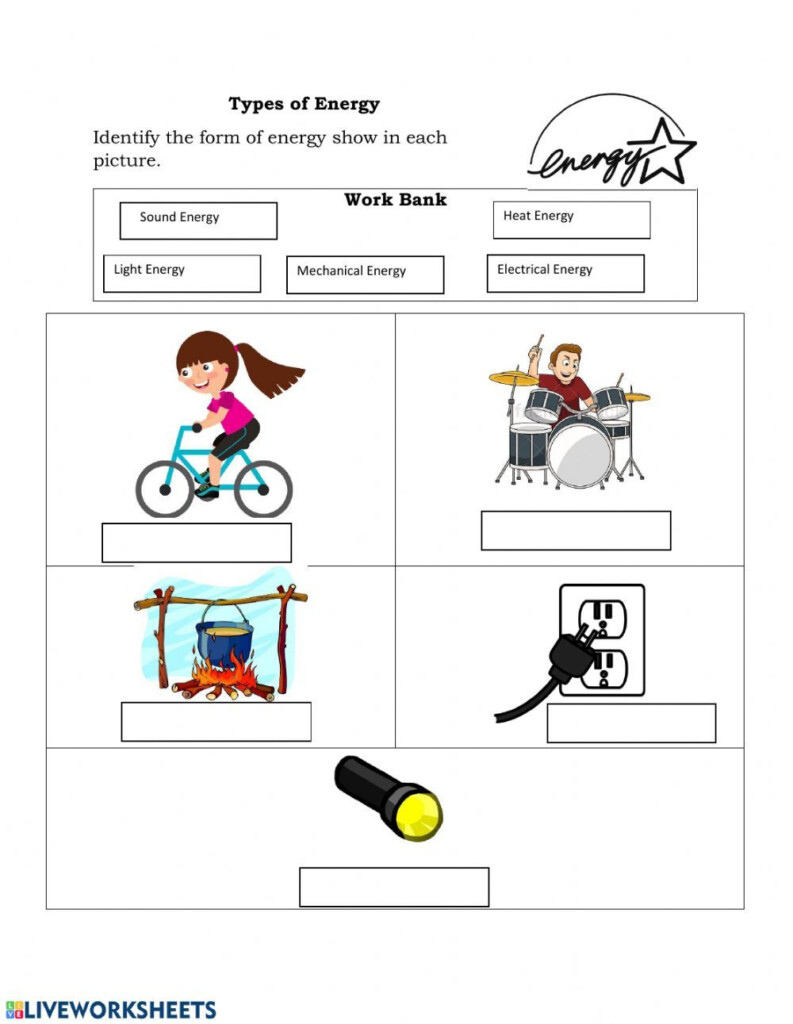 Types Of Energy Exercise Energy Forms 4th Grade Science School Subjects