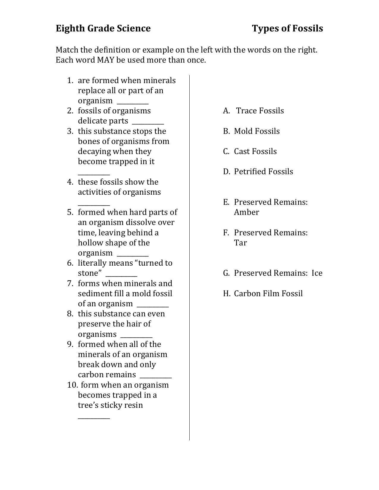 Types Of Fossils Worksheet