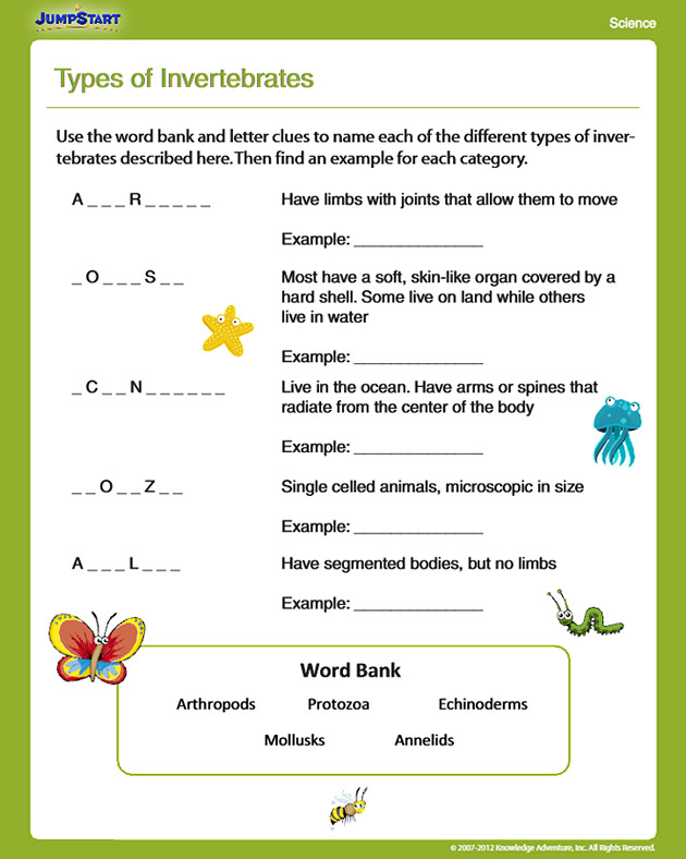 Types Of Invertebrates View Free Science Worksheet For 4th Grade