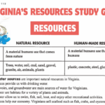 VA Natural Resources WATERFORD 4TH GRADE