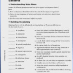 Virus And Bacteria Worksheet Answers