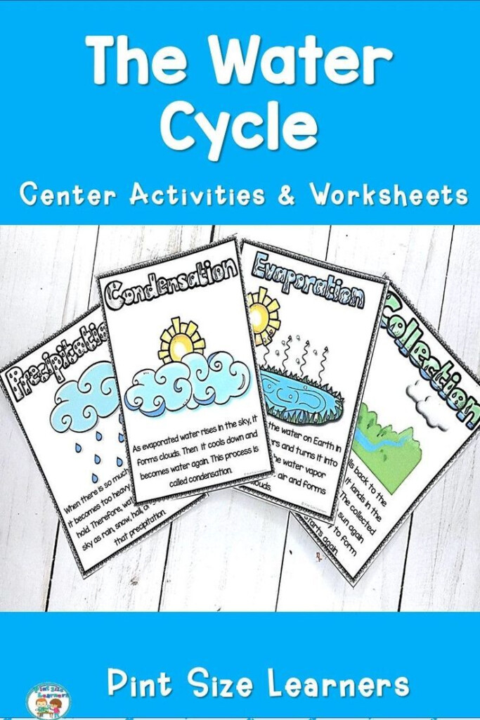 Water Cycle Activities Worksheets Water Cycle Vocabulary 1st 
