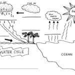 Water Cycle Coloring Pages Cd357 Reading Meganghurley Ed 554 Computers