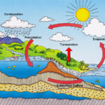 Water Cycle Mr Choi Earth Science Update Coming