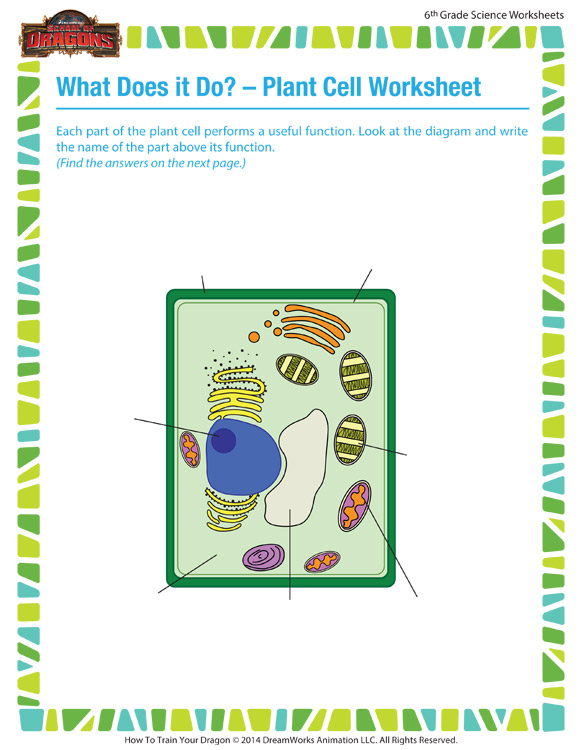 What Does It A Do Plant Cell Worksheet 6th Grade Biology SoD