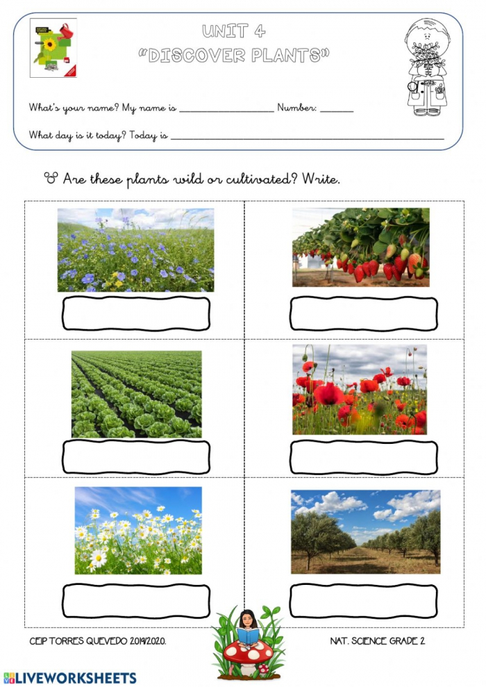 Wild Plants Worksheets 99Worksheets