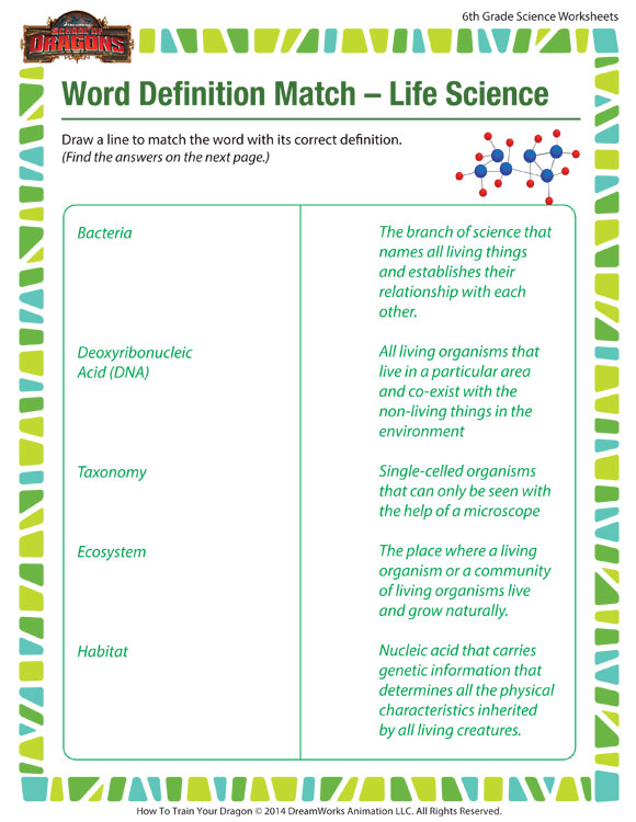 Word Definition Match Life Science View 6th Grade SoD