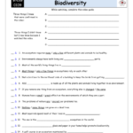 Worksheet For Bill Nye Biodiversity Video Differentiated Worksheet