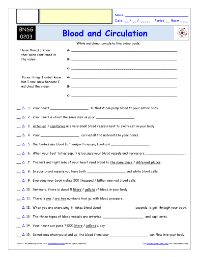Worksheet For Bill Nye Blood And Circulation Video Differentiated 