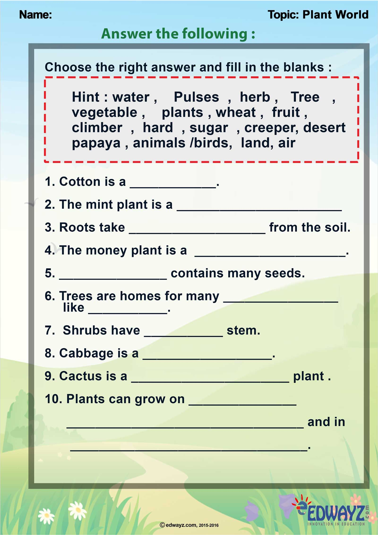 Printable 3rd Grade Science Plants Worksheets Thekidsworksheet