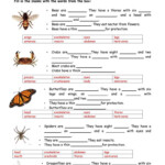 Worksheet Vertebrates And Invertebrates Worksheets Grass Fedjp Worksheet Study Site