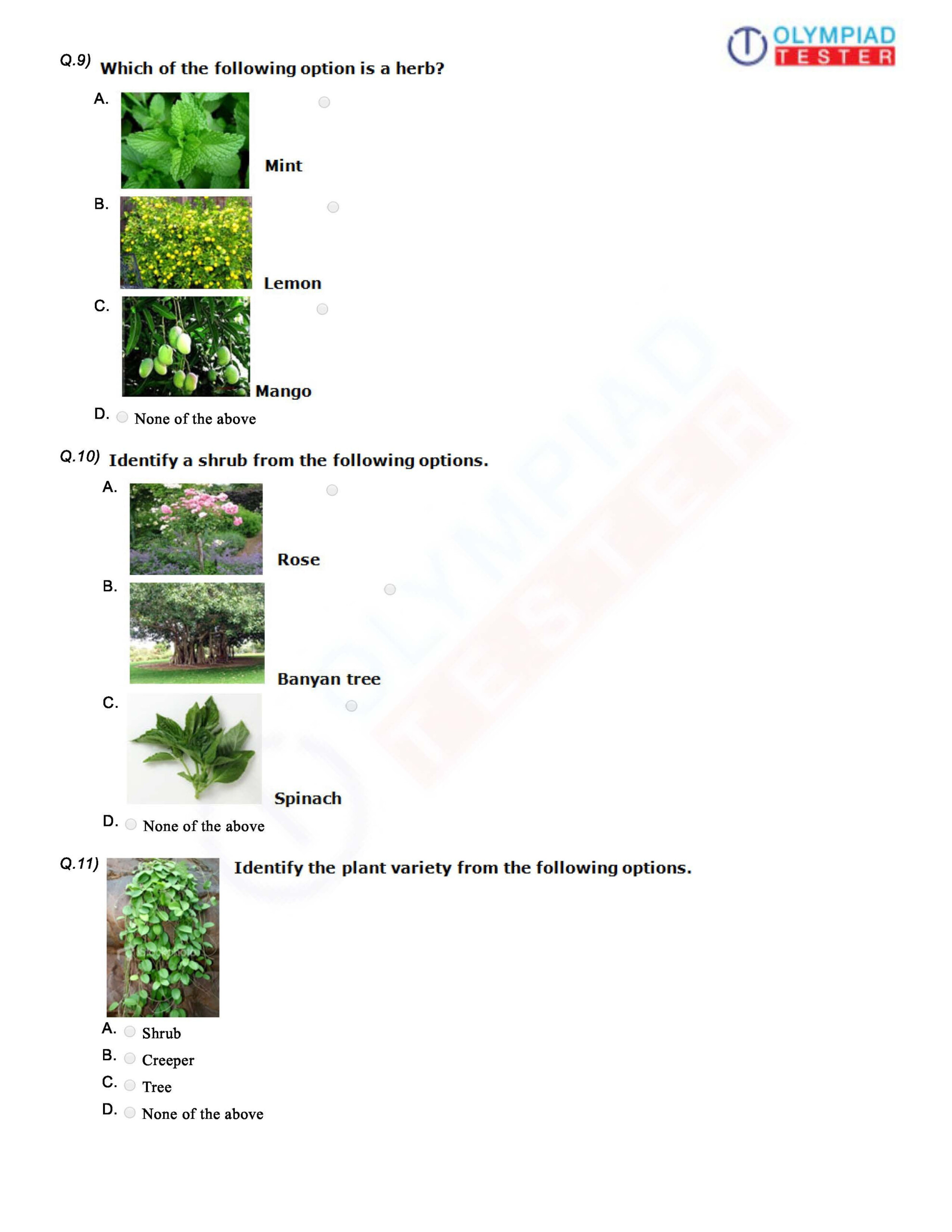 Worksheets For Grade 1 Evs Cbse SHOTWERK