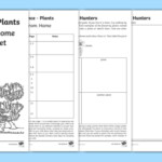 Year 1 Science Activity Book PDF Plants Twinkl