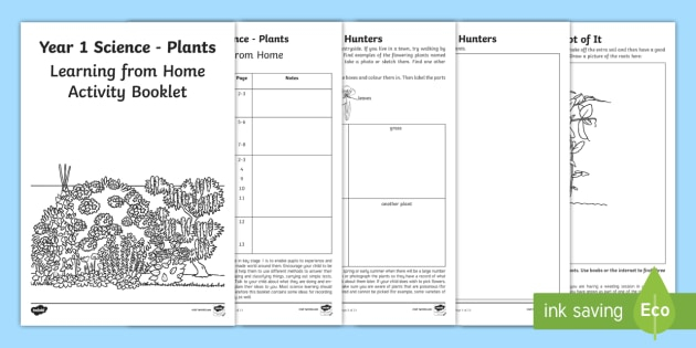 Year 1 Science Activity Book PDF Plants Twinkl