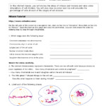 10 Cells Alive Mitosis Phase Worksheet Answer Key