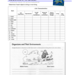 10 Characteristics Of Life Worksheet Answers Worksheets Decoomo