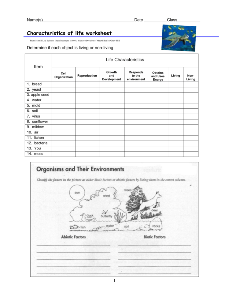 10 Characteristics Of Life Worksheet Answers Worksheets Decoomo