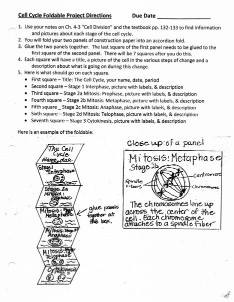 11 Keep It Simple Science Worksheet Answers Science Cells Science 