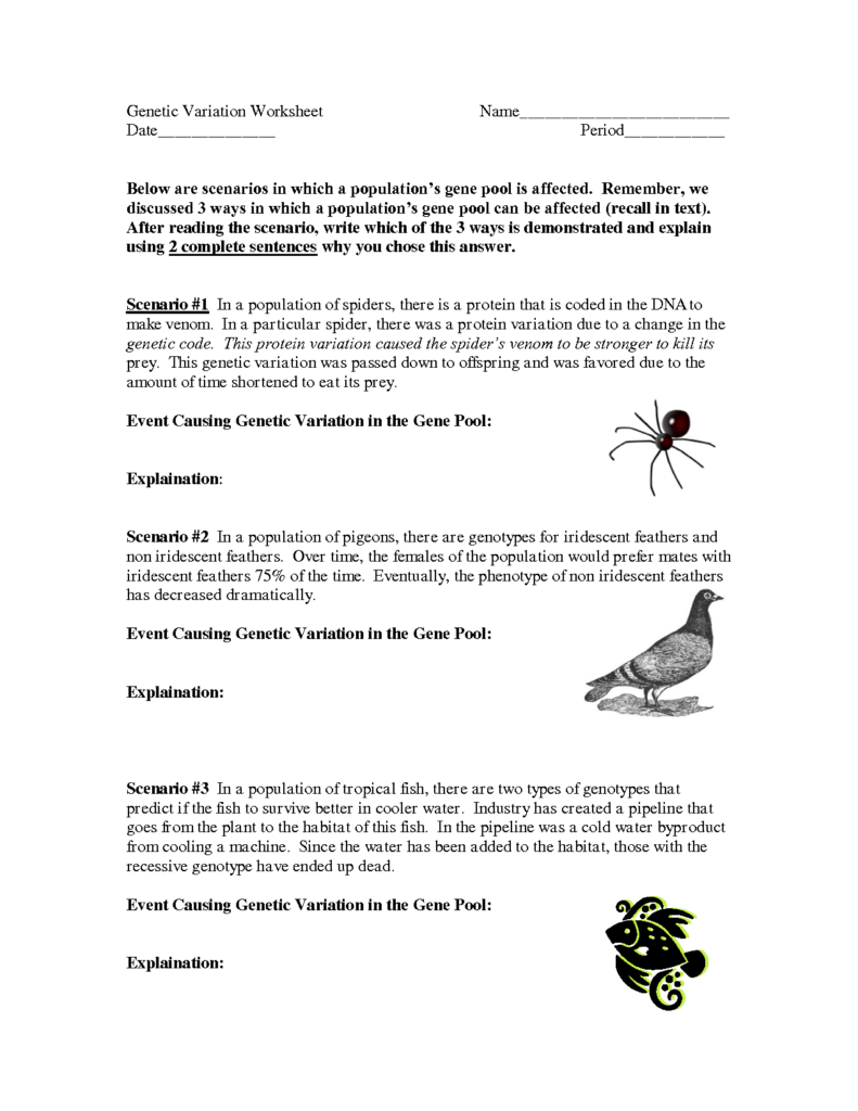 13 Human Variations Worksheet Worksheeto