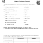 15 Chapter 9 Cellular Respiration Worksheet Worksheeto