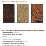 18 Soil Worksheets For 3rd Grade Worksheeto