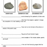 18 Soil Worksheets For 3rd Grade Worksheeto