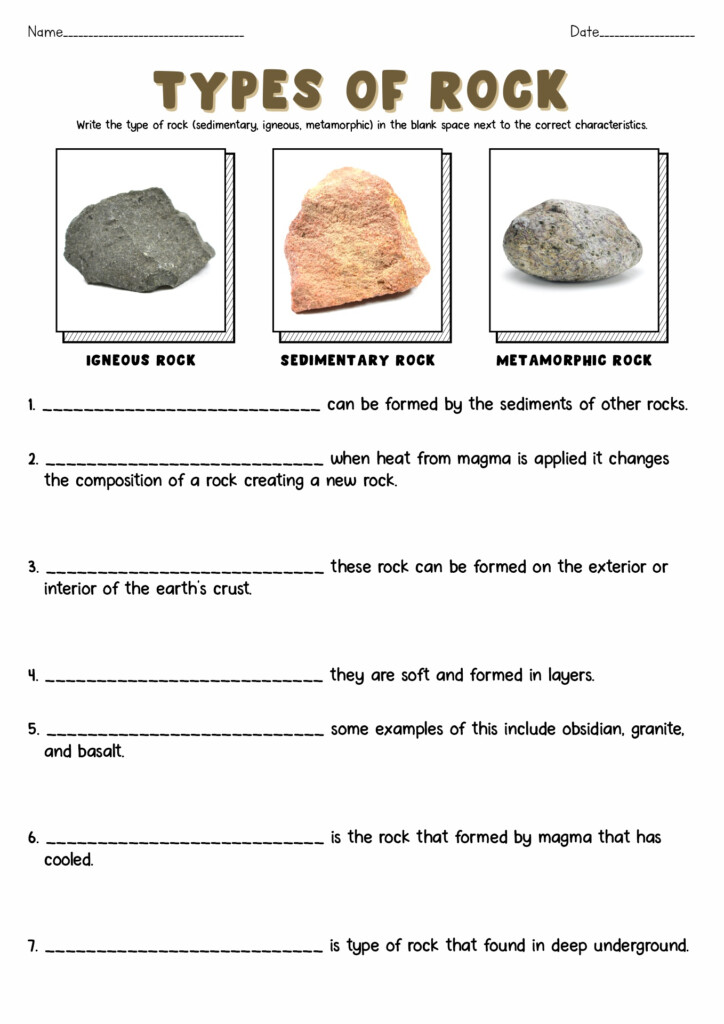 18 Soil Worksheets For 3rd Grade Worksheeto