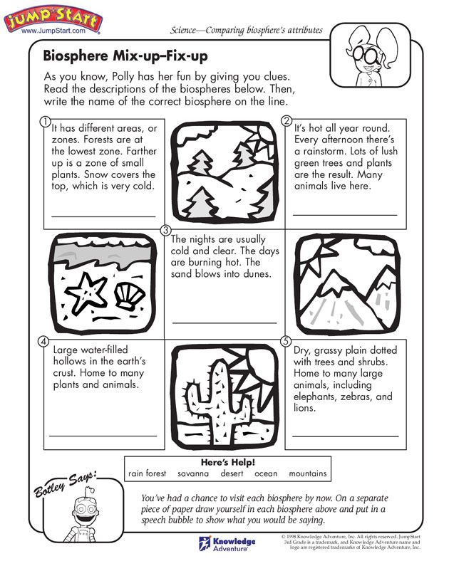  2nd Grade Ecosystems Worksheets Free Download Gambr co