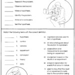 49 Free Printable 7Th Grade Science Worksheets Collection Worksheet