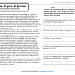 5th Grade Reading Comprehension Worksheets Fifth