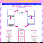 5TH GRADE SCIENCE GROWING PLANTS INTERACTIVE WORKSHEET 06 AIMS