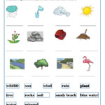 5TH GRADE SCIENCE WORKSHEETS NATURAL RESOURCES INTERACTIVE