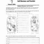 7 2 Cell Structure Answer Key Pdf Athens Mutual Student Corner