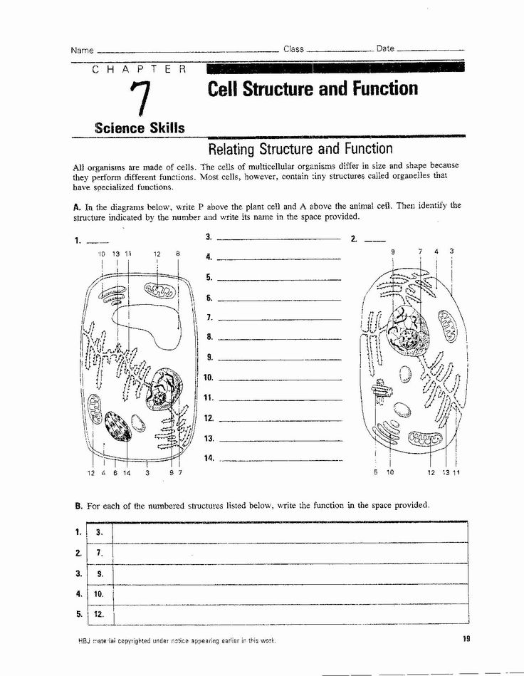 7 2 Cell Structure Answer Key Pdf Athens Mutual Student Corner