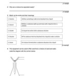 7E Test Standard By Gavin Smart Issuu