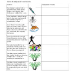 A Computer Science Variables Worksheet 1 Answer Key Jojo Worksheet