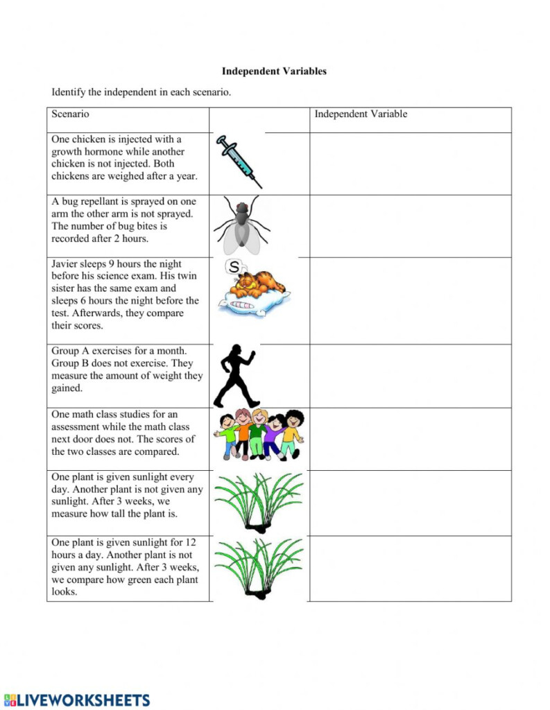 A Computer Science Variables Worksheet 1 Answer Key Jojo Worksheet