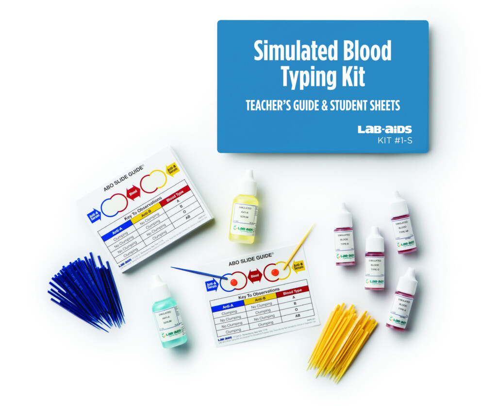 Abo Blood Types Worksheet Answers Ngss Life Science 2022 