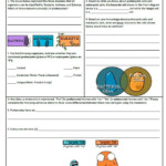 Amoeba Sisters Dna Replication Worksheet Answer Key Mark Library