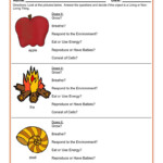 Answering Questions About Living Things Worksheet Have Fun Teaching