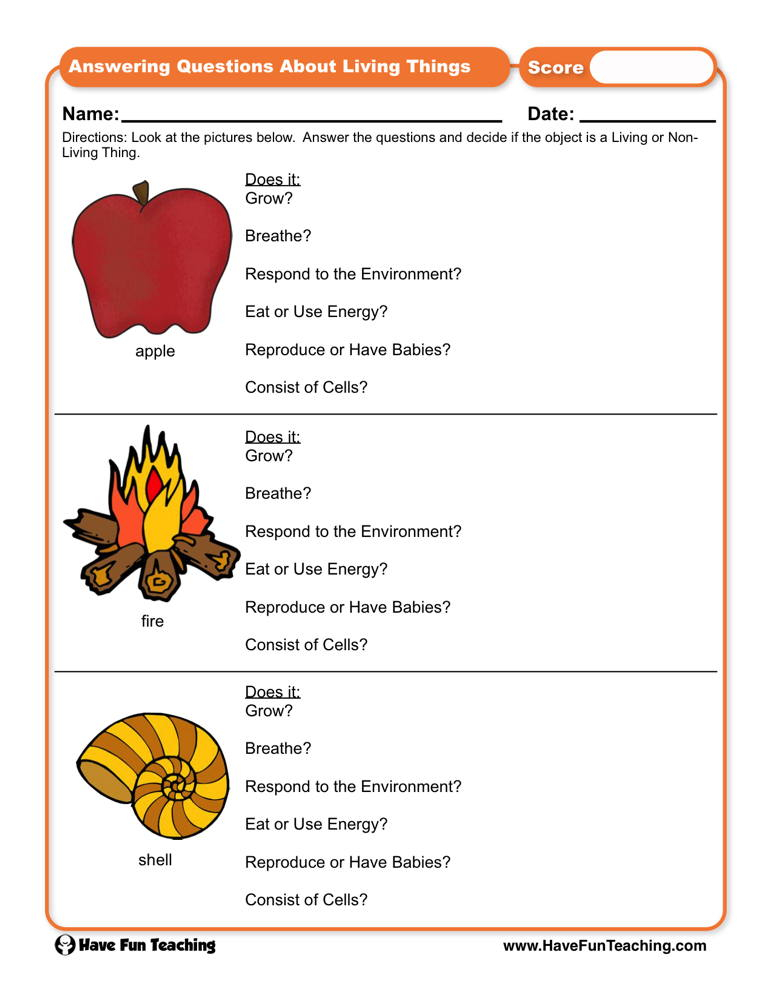 Answering Questions About Living Things Worksheet Have Fun Teaching